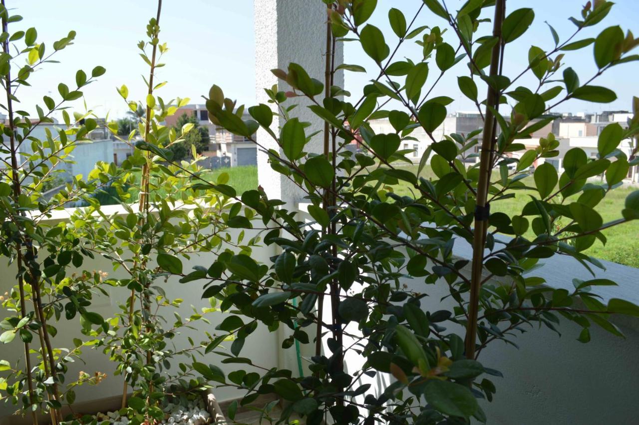 Casa Vacanze Infiore Леверано Екстериор снимка